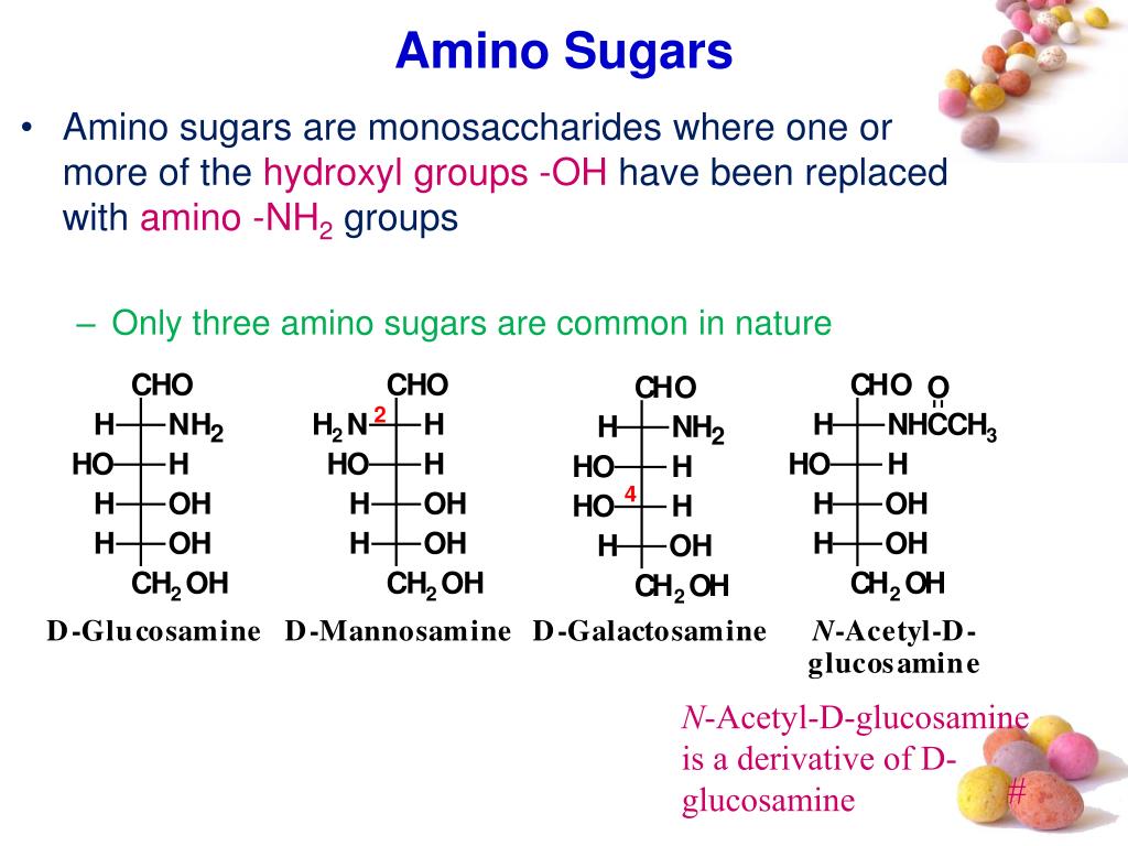 PPT Amino sugars Proteoglycans PowerPoint Presentation, free download