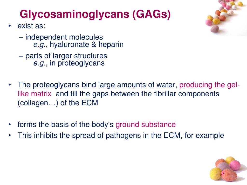 PPT Amino sugars Proteoglycans PowerPoint Presentation, free download