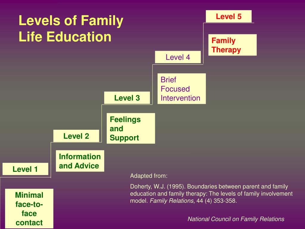 summary of family life education