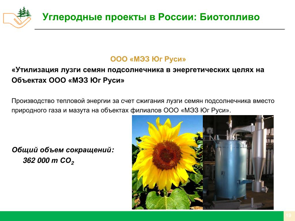 Цена Подсолнечника На Сегодня В Краснодарском Крае