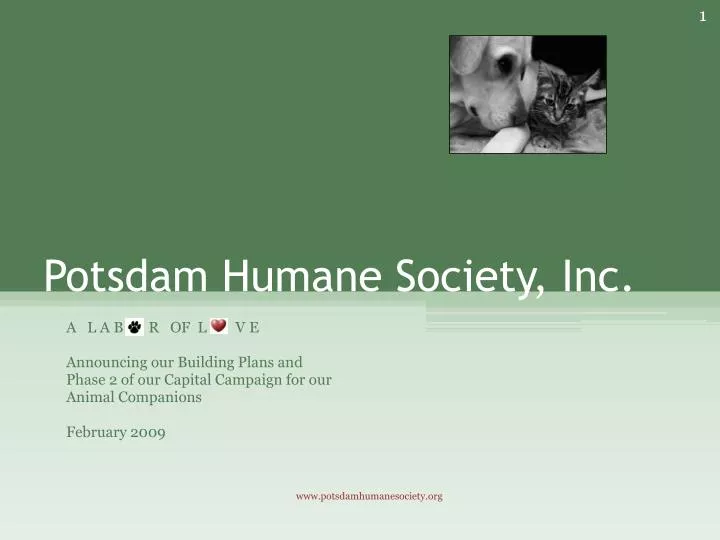 PPT Potsdam Humane Society, Inc. PowerPoint Presentation, free