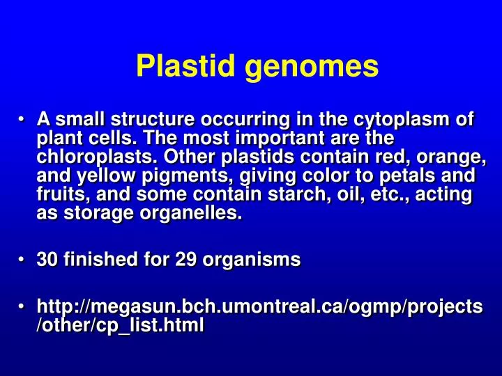 PPT - Plastid genomes PowerPoint Presentation; free download - ID:4415344