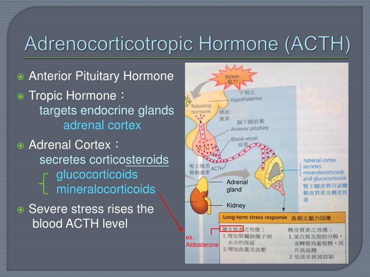 PPT - Chap44 Diabetes insipidus and aquaporin (ADH PPT - Chap44 Diabetes insipidus and aquaporin (ADH