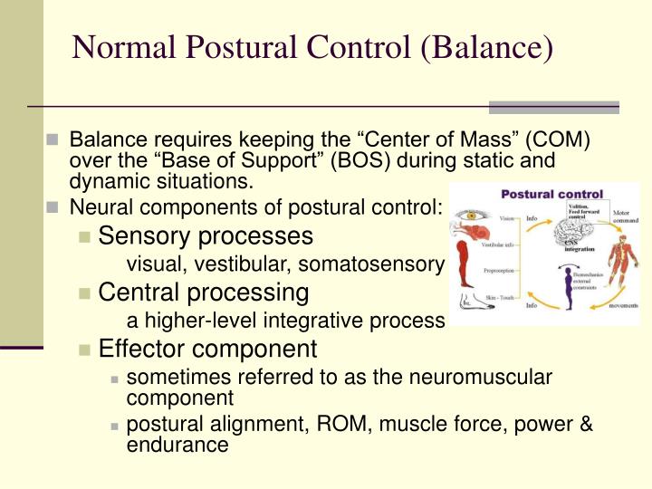 PPT Balance PowerPoint Presentation ID4416296