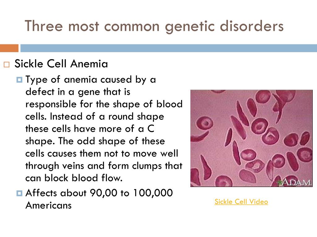 PPT - Genetic disorders PowerPoint Presentation, free ...