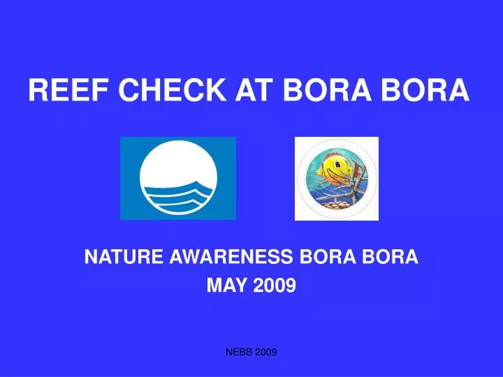 nature awareness bora bora may 2009 n.