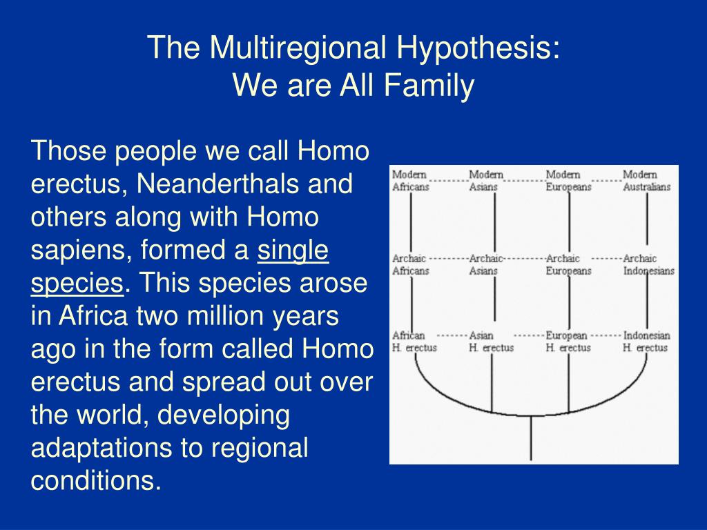 define the multiregional hypothesis