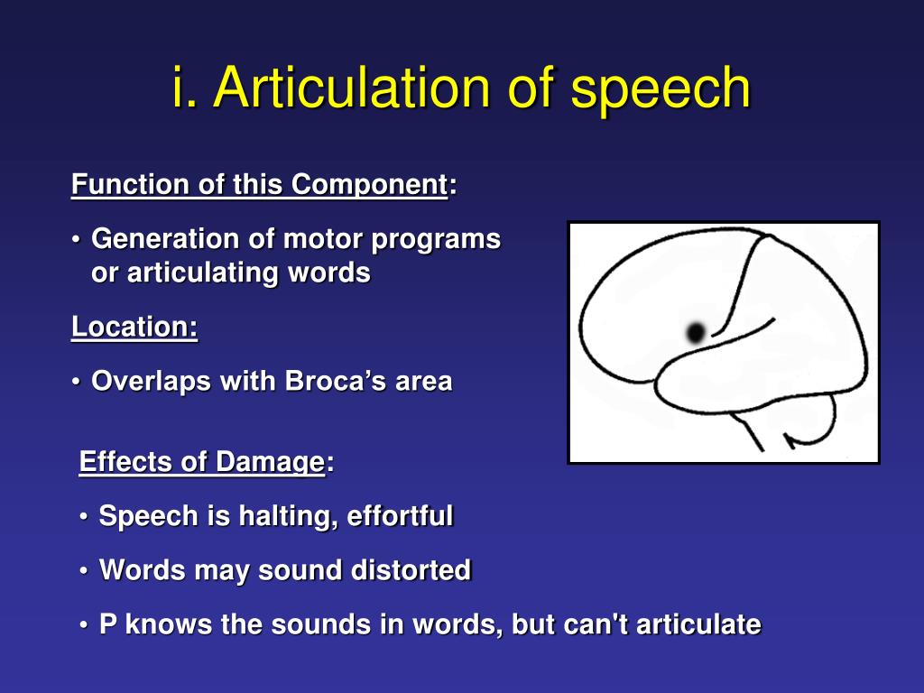 speech definition of articulation