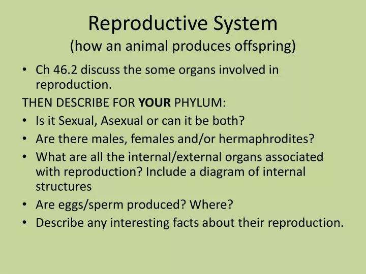 PPT - Reproductive System (how an animal produces offspring) PowerPoint Presentation - ID:4423825 PPT - Reproductive System (how an animal produces offspring) PowerPoint Presentation - ID:4423825