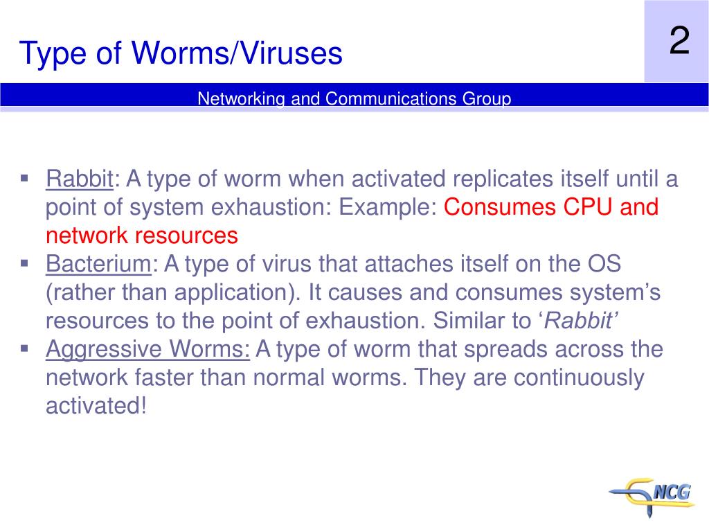 worm virus example