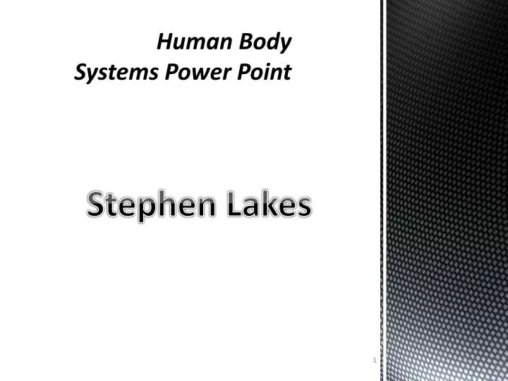 human body systems power point n.