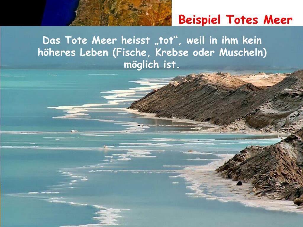 Warum Ist Im Toten Meer So Viel Salz PPT - Wie kommt das Salz in die Ostsee ? PowerPoint Presentation, free