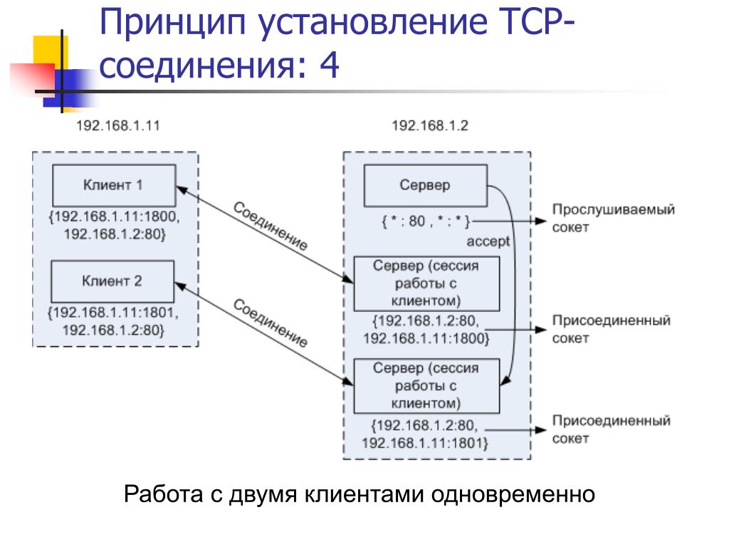 Транспортный протокол tcp