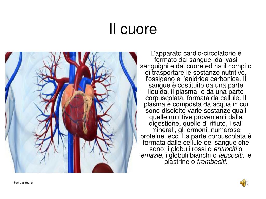Da Che Parte è Il Cuore PPT - IL CUORE PowerPoint Presentation, free download - ID:4431100