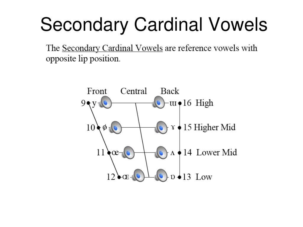 secondary cardinal vowels