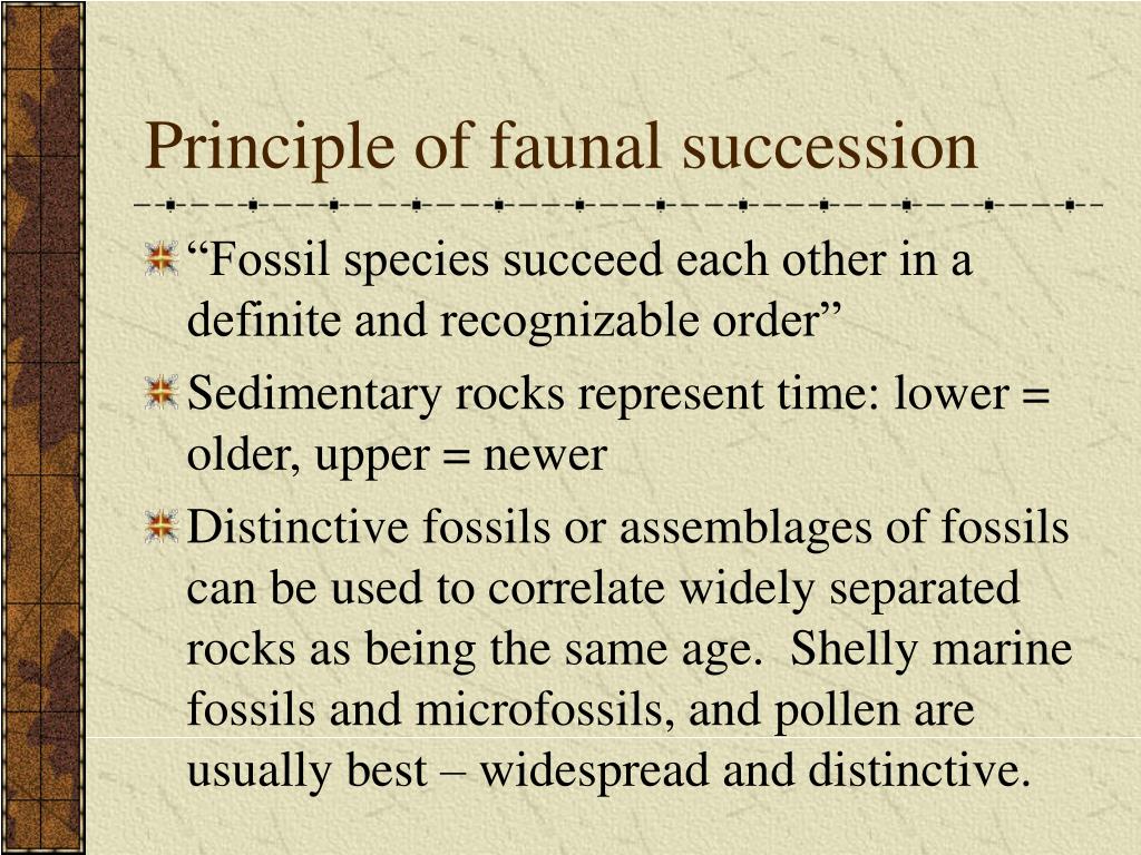 Succession principle of faunal Geologic Principles—Faunal