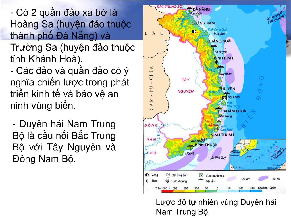 Cơ sở văn hóa việt nam