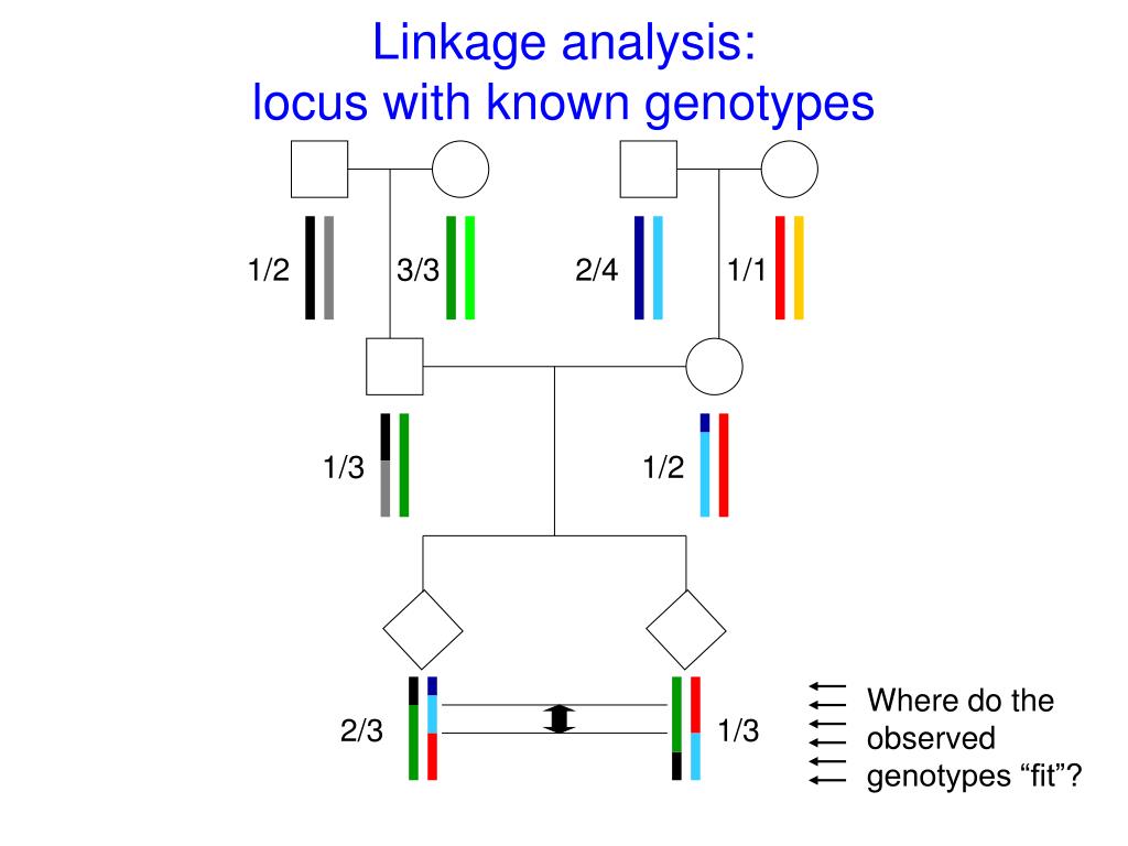 linkage analysis case study