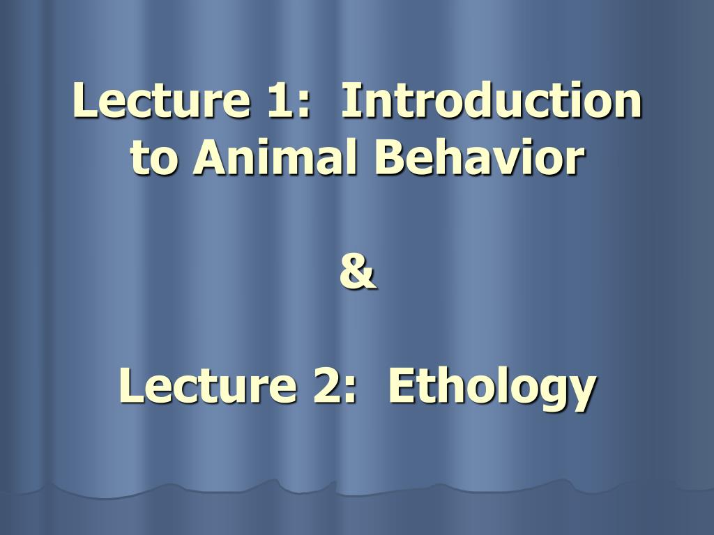 PPT - Lecture 1: Introduction to Animal Behavior & Lecture 2: Ethology  PowerPoint Presentation - ID:4437513