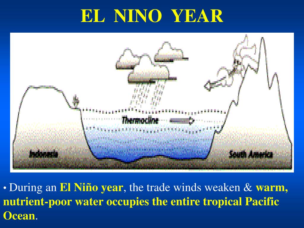 PPT EL NINO PowerPoint Presentation, free download ID4438784