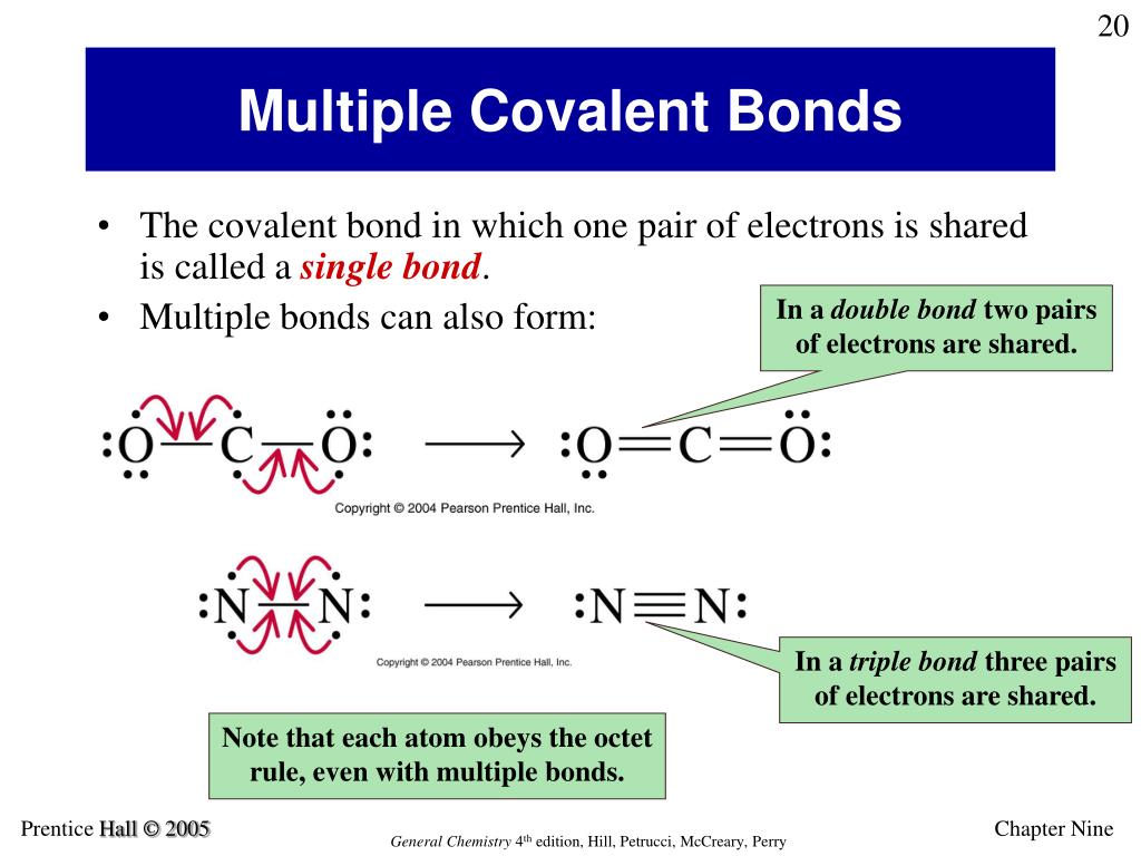 covalent-bonding-biology-definition-role-expii
