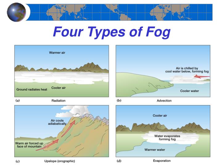 four types of fog1 n