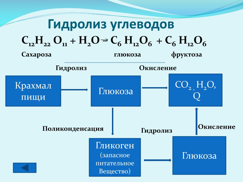 Гидролиз сахарозы гидролиз крахмала