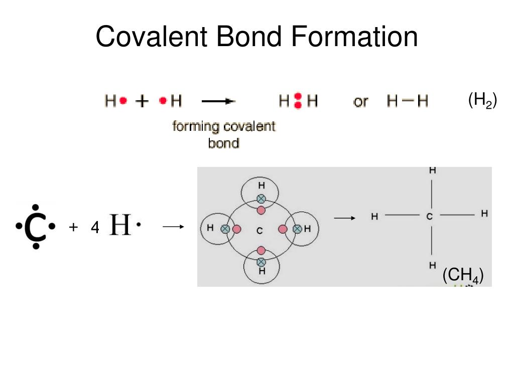PPT - Covalent Bonding & Intermolecular Forces PowerPoint Presentation ...