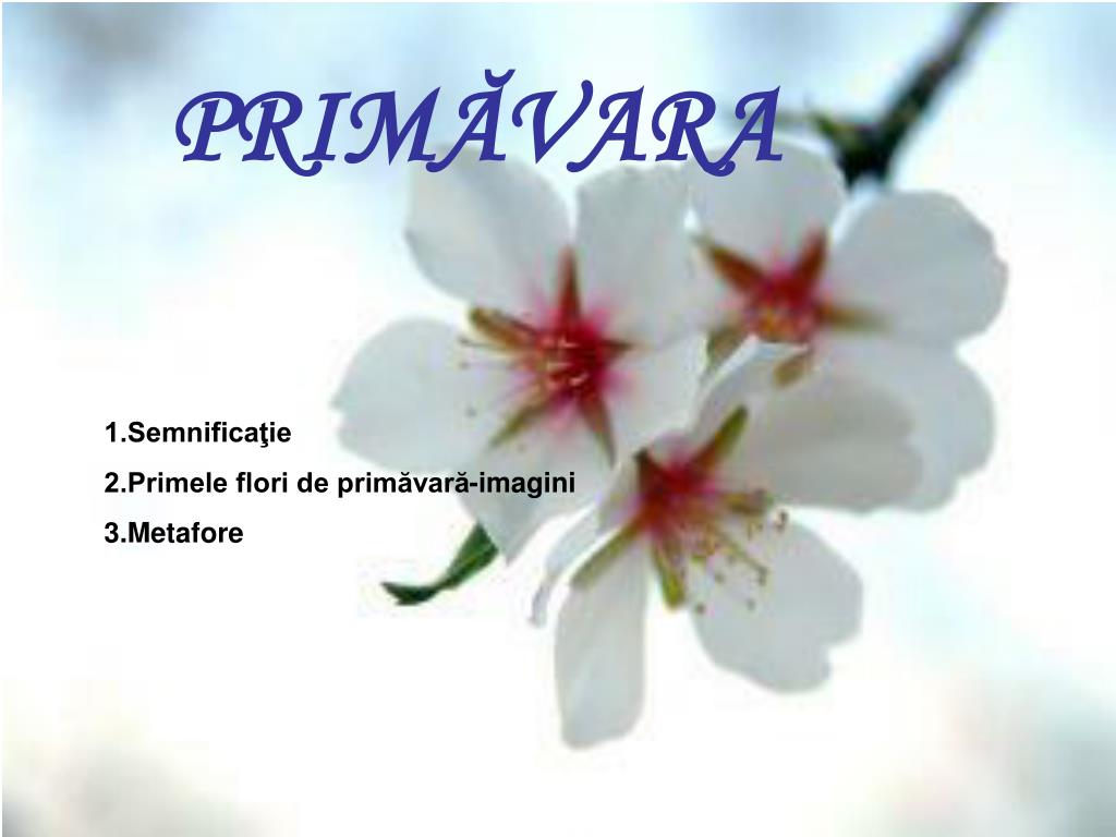 Ppt Primăvara Powerpoint Presentation Free Download Id 4439633