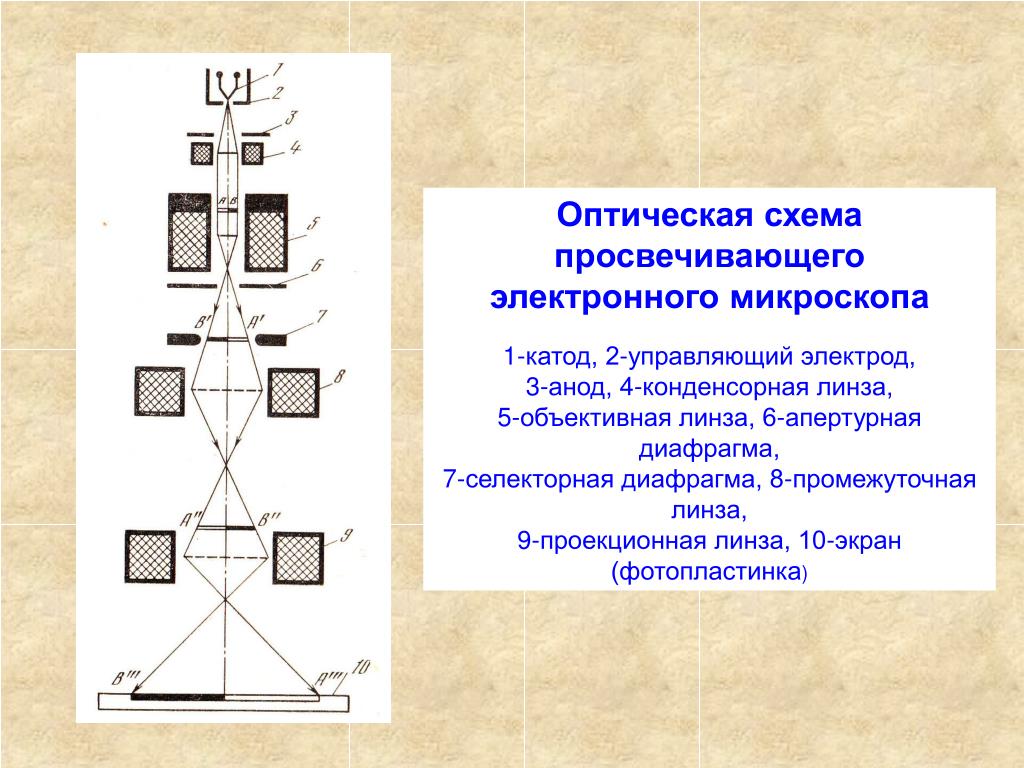 Схема электронного микроскопа