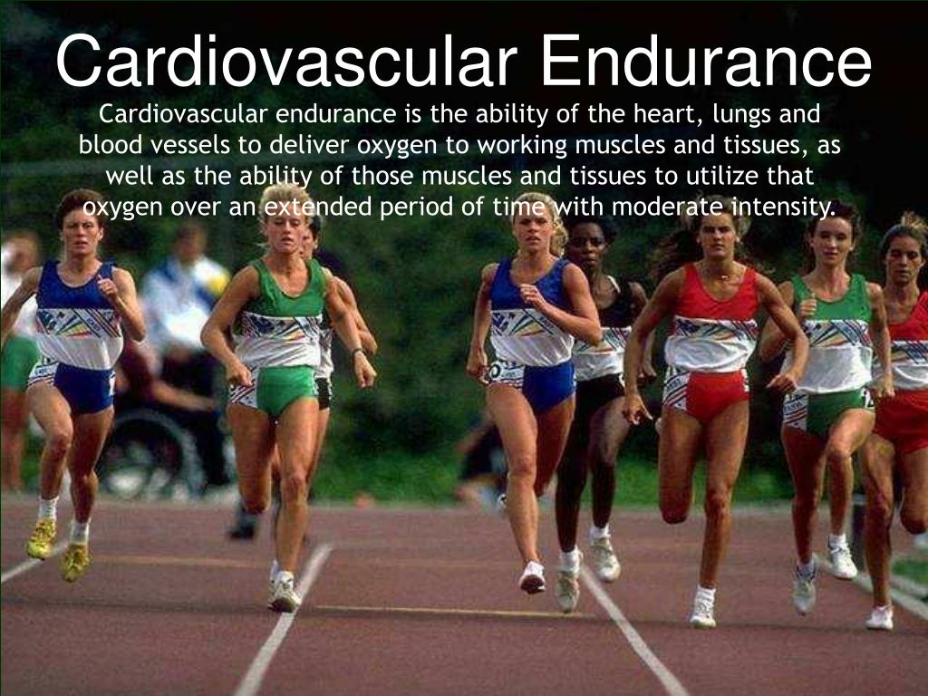cardiovascular endurance sports cardiovascular endurance sports