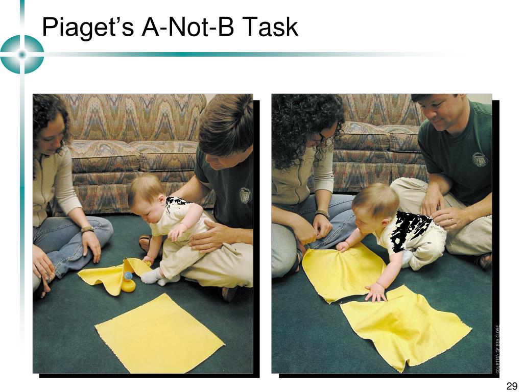 PPT Piaget s Theory of Cognitive Development PowerPoint