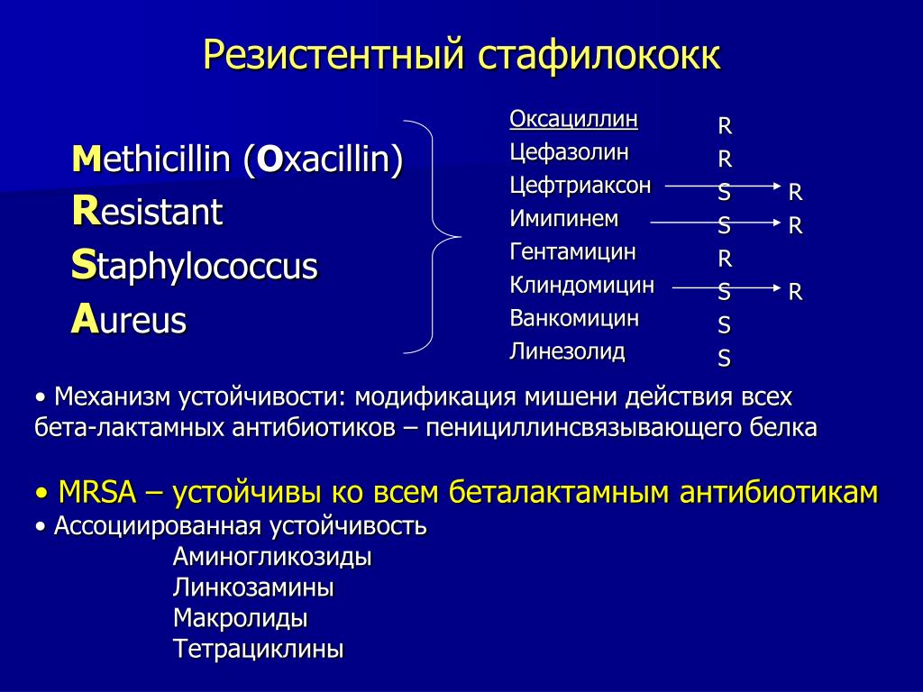 1 staphylococcus aureus. Метициллинорезистентный s.aureus (MRSA). Золотистый стафилококк штаммы резистентные. Метициллин резистентный стафилококк. Стафилококки резистентность к антибиотикам.