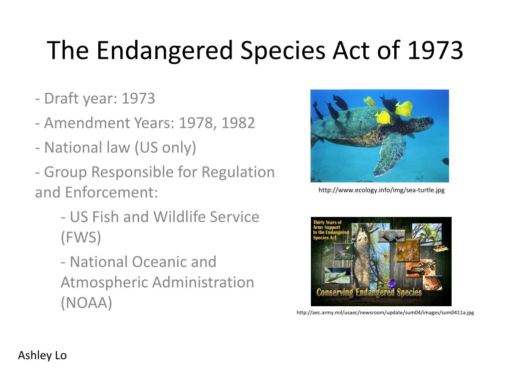 endangered species act essay
