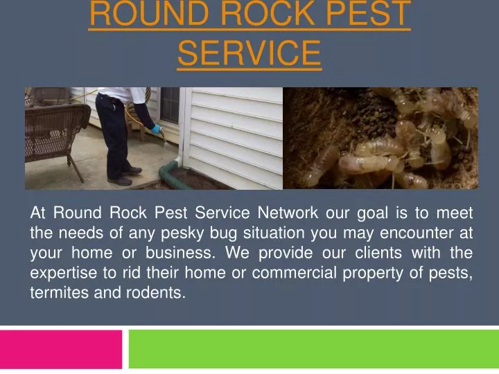 round rock pest service n.
