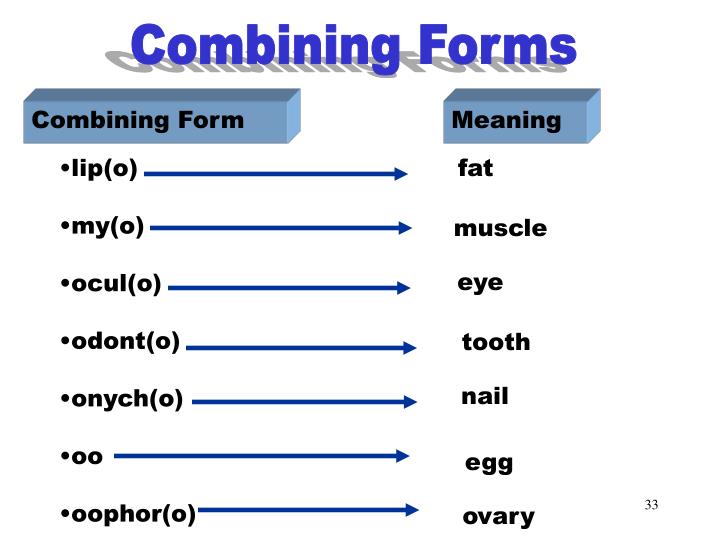 combining-form-for-muscle-medical-word-parts-combining-forms-2019