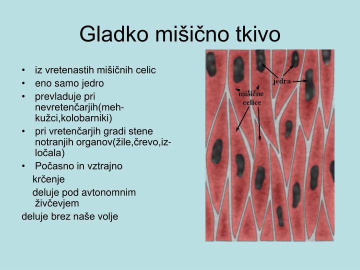 ppt-gibanje-powerpoint-presentation-id-4450824