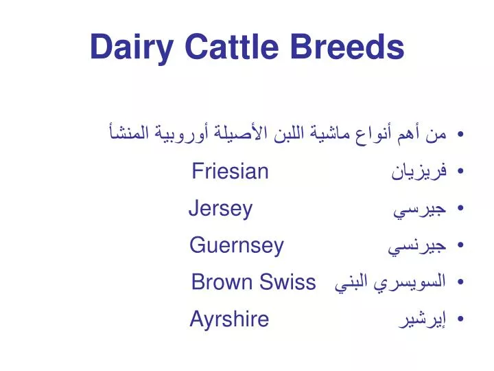 PPT Dairy Cattle Breeds PowerPoint Presentation, free download ID