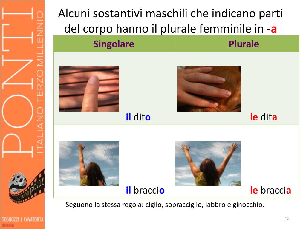 Ppt Il Plurale Dei Nomi Powerpoint Presentation Free Download Id 4452218