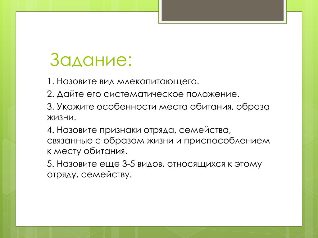 Укажите особенно. Что значит систематическое положение млекопитающего.