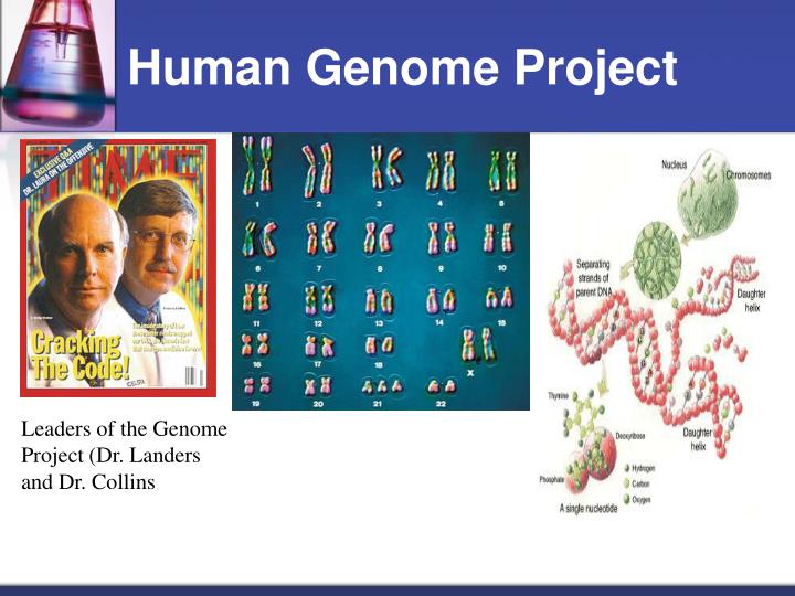 the genome project the genome project