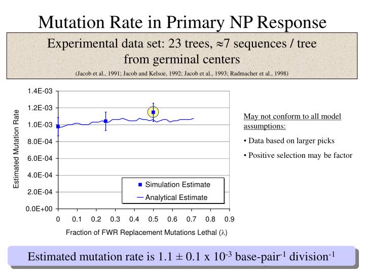 the mutation rate essay 1 molecular genetics ii (cont) mutation 1 all genetic variation arises from change in the nucleotide sequences of dna alleles of a gene commonly differ by only a. the mutation rate essay 1 molecular genetics ii (cont) mutation 1 all genetic variation arises from change in the nucleotide sequences of dna alleles of a gene commonly differ by only a.