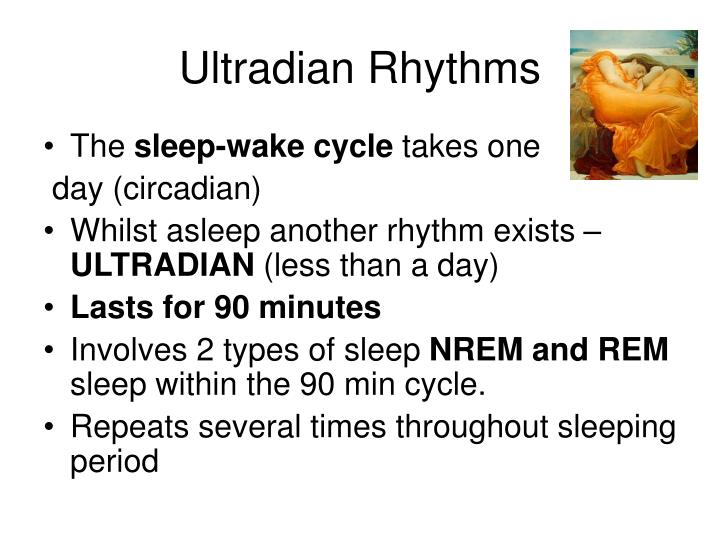 PPT - Ultradian Rhythms, Endogenous Pacemakers and Exogenous Zeitgebers ...
