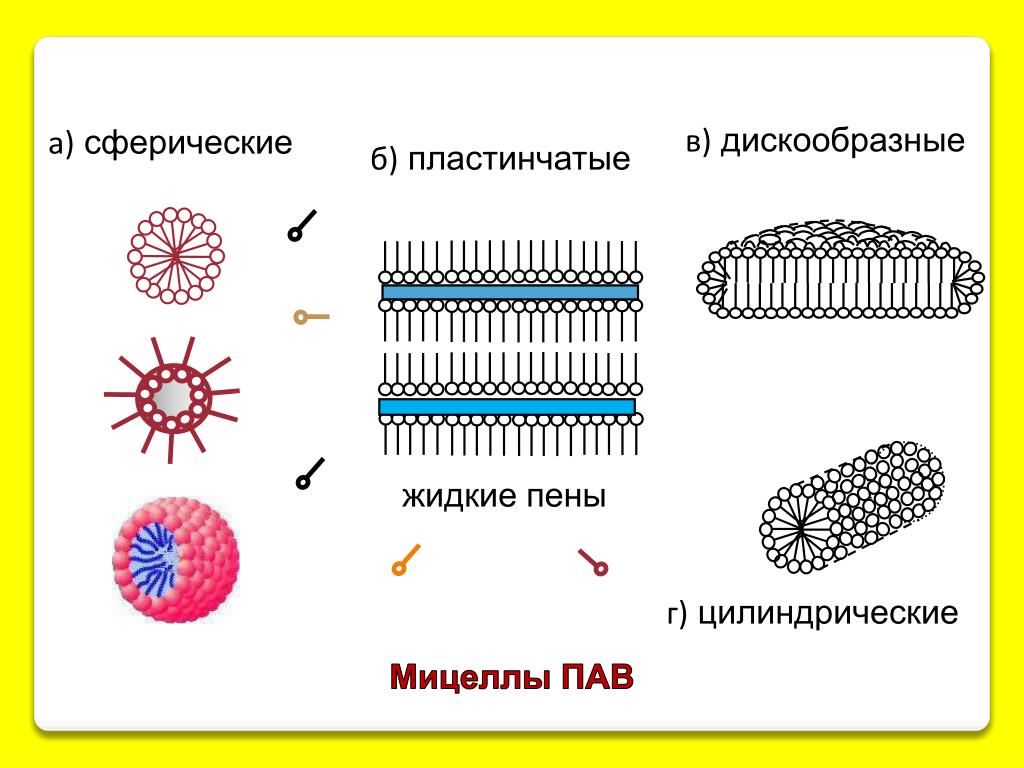 Мицеллы пав. Структура мицеллы пав. Строение мицелл пав. Схематическое строение мицелл пав. Схема строения мицелл пав в водном растворе.