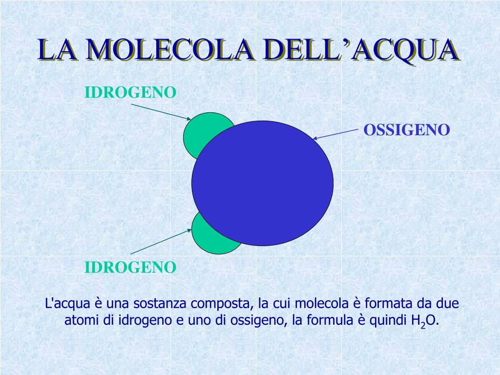 Da Cosa E Composta L Acqua PPT - L’ACQUA PowerPoint Presentation, free download - ID:4469545