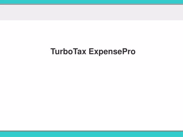 turbotax expensepro n.