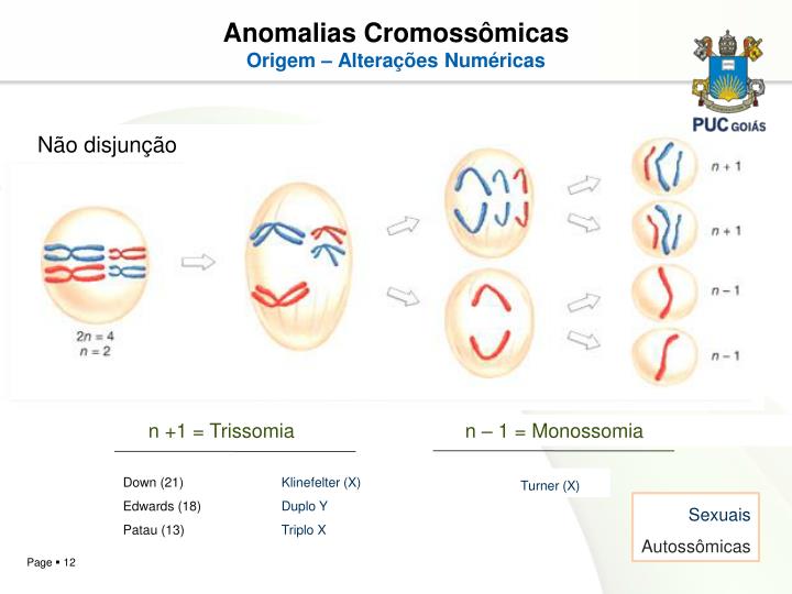 Na Especie Humana Podem Aparecer Certas Anomalias Cromossomicas