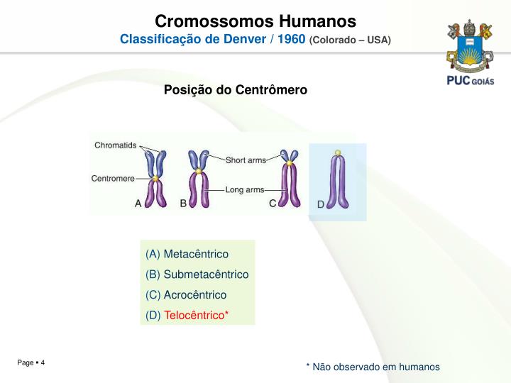 Na Especie Humana Podem Aparecer Certas Anomalias Cromossomicas