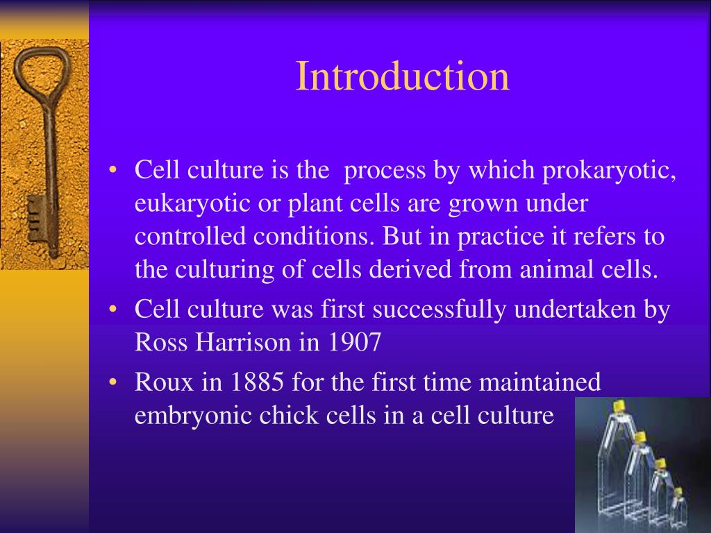 PPT - Basics of Cell Culture and Animal Tissue Culture Techniques  PowerPoint Presentation - ID:4472823