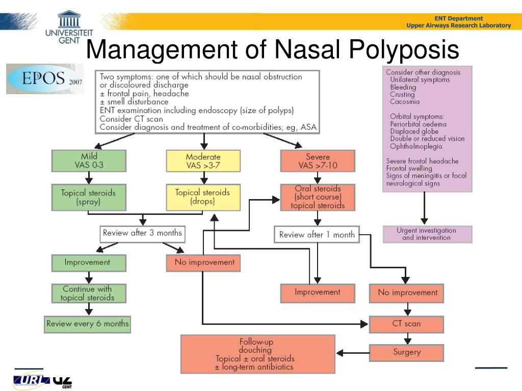 Ppt New Insights In The Pathophysiology Of Chronic Rhinosinusitis Powerpoint Presentation Id